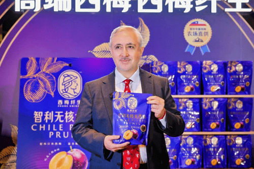 高端西梅西梅纤生让健康与美味不再二选一PG电子麻将胡了2试玩智利领事馆推荐！(图1)