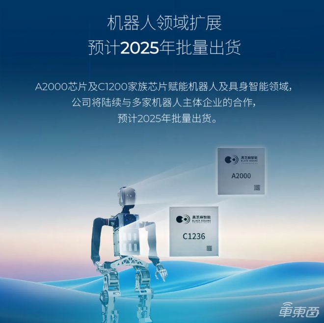 麻2024年扭亏为盈智驾产品毛利374%PG麻将胡了2模拟器净赚313亿！黑芝(图2)